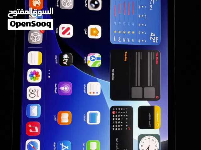 Apple iPad Pro 11 256 GB in Al Dakhiliya