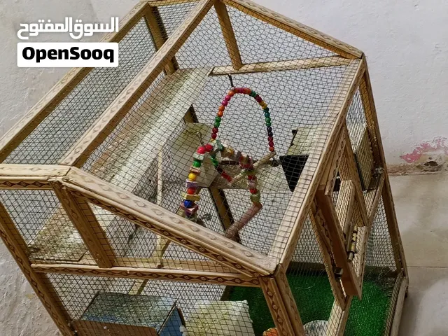 للبيع 20قفل