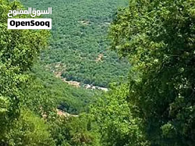 أرض للبيع في آسيا، وادي العين، قضاء البترون