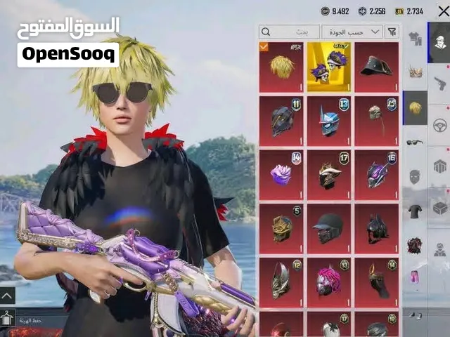 Pubg Accounts and Characters for Sale in Susa