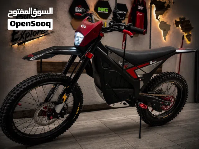 For sale electric bike Arctic leopard EX800