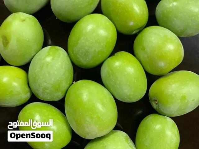 زيتون نبالي للبيع