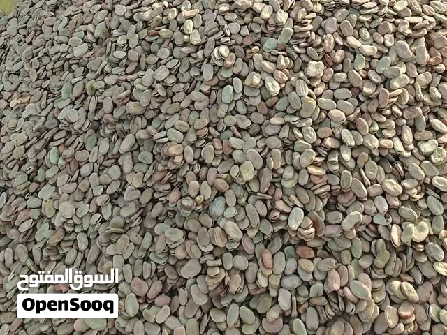 فول بو ثلاثة صائفة 2026
