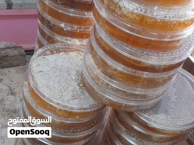 عسل فاخر من قلب جبال أذربيجان الإيرانية