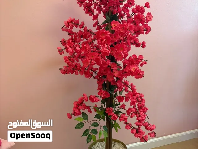 أشجار ديكور صناعية مع أصص – حبة 100 ريال