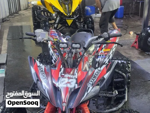 Raptor250 2008 for sale