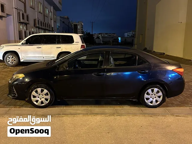 كورولا موديل 2019