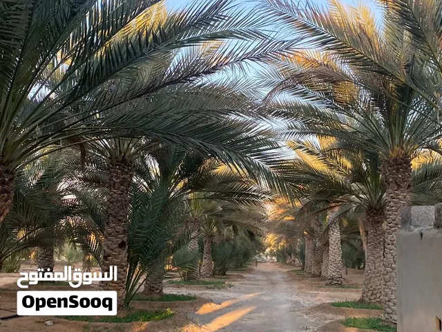 مزرعة للبيع