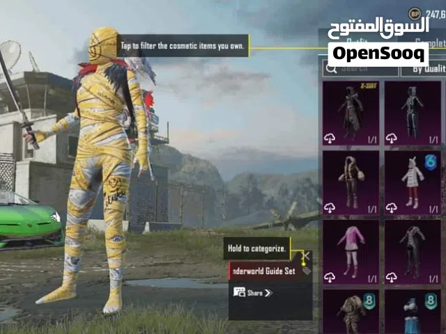 Pubg Accounts and Characters for Sale in South Sinai