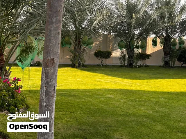 زراعه وديكور