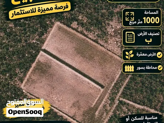 تصنيف ب ، من المالك مباشره ، طابوا