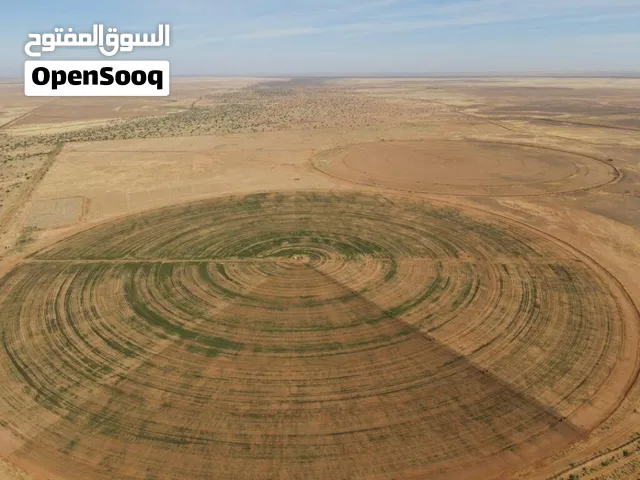 مزرعه استثمار