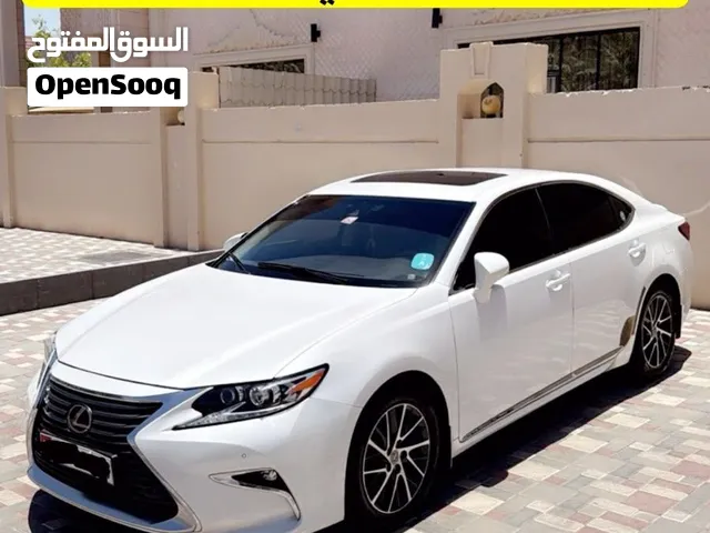 خليجي أول مالك (صبغ الوكالة)