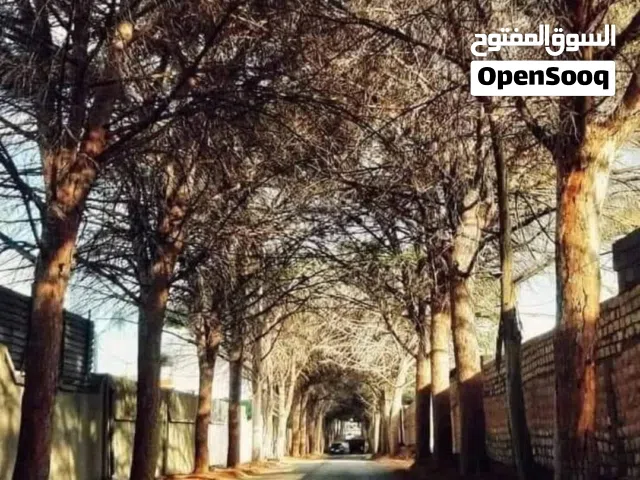 أرض 340منر للبيع في أبوستة بالقرب من مستشفي الصدرية موقع ممتاز شارع قطران بالقرب من جميع الخدمات