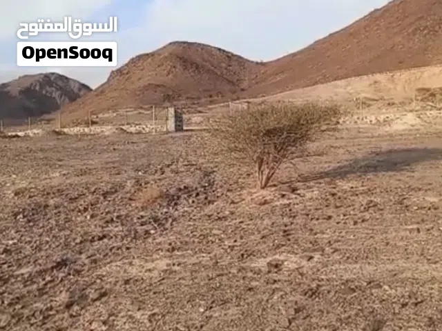 فقط تملك (جواز راس الخيمة ) للبيع مزرعتين في راس الخيمة موقع متميز بين الجبال 242،000قدم )