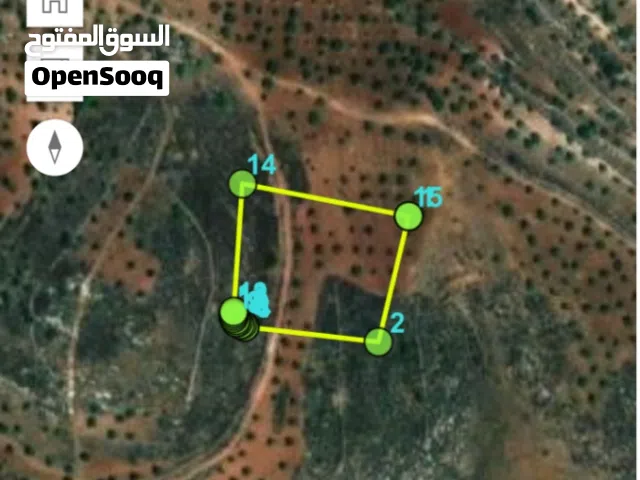 Farm Land for Sale in Jerash Borma