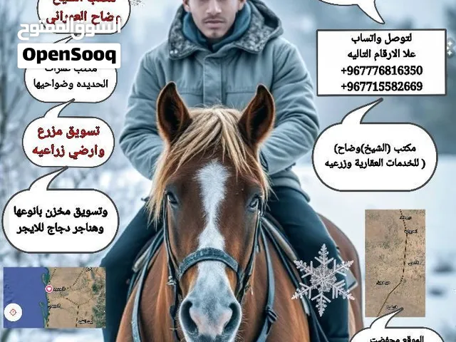 مكتب الشيخ وضاح العمراني للعقرات في محافظة الحديدة