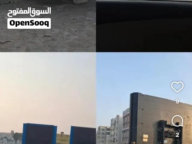 احمد ابو شادي