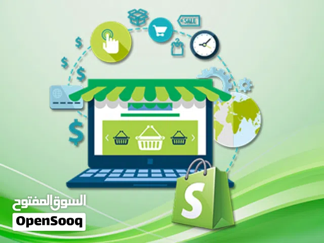 E-Commerce Online Store Setup & Development Shopify Expert