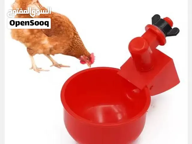 *حوض ماء الطيور