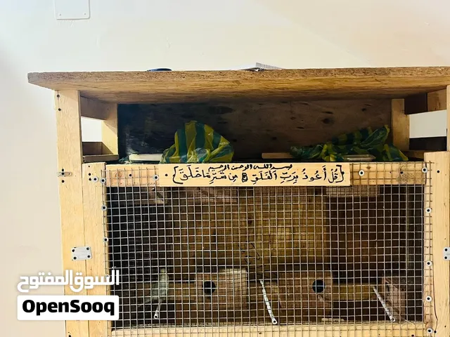 سزنة عصافير خشب كبيرة ومتينة مع رف جانبي – 450 دينار