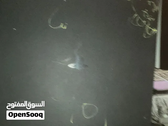 سوني فور مع جهاز