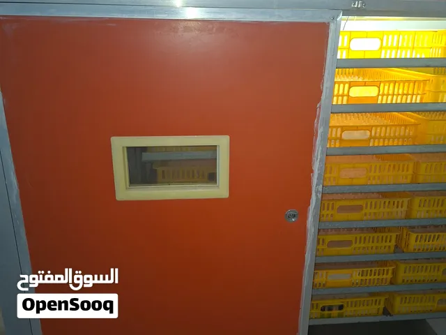 فقاسه صينيه درجه أولى سعة 2112