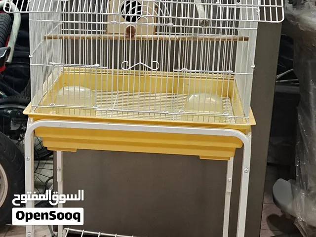 قفص طير جاهز للبيع، حجمه متوسط ومناسب للطائر. القفص نظيف وممتاز، والسعر 100 درهم قابل للتفاوض.