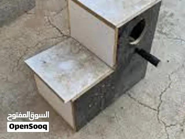 مطلوب بيوت ببغاء دره