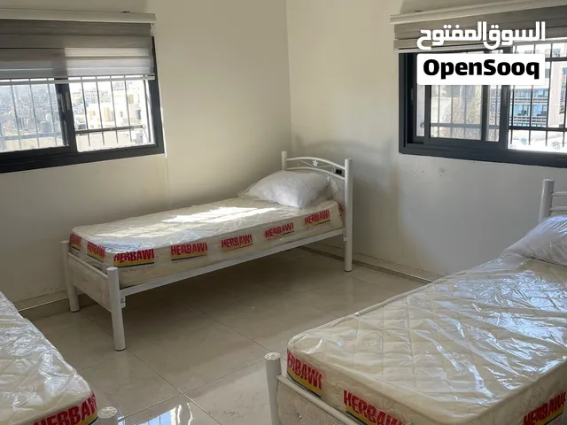 رام الله مقابل فردات الرام