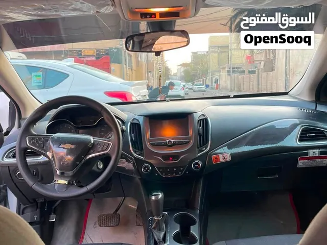 شفر كروز وارد امريكي