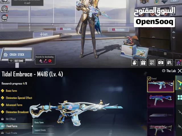 Pubg Accounts and Characters for Sale in Al Batinah