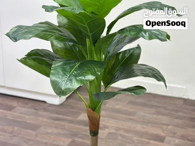 ورد بلاستيك متر