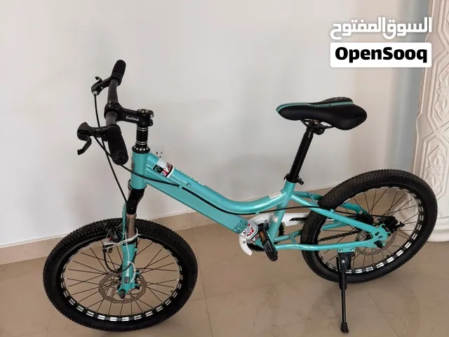 Bike blue mint