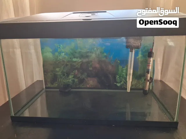 fish tank BD 10