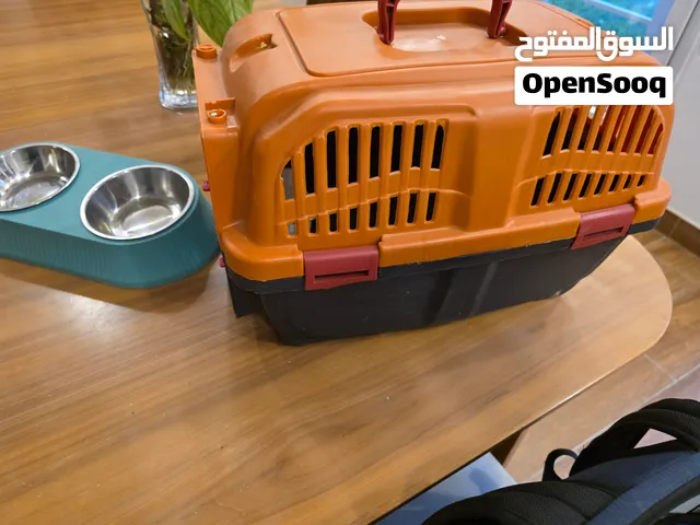 فقص نقل قطط وجراء