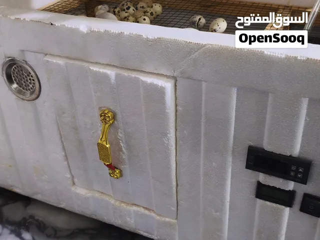 فقاسة فلين