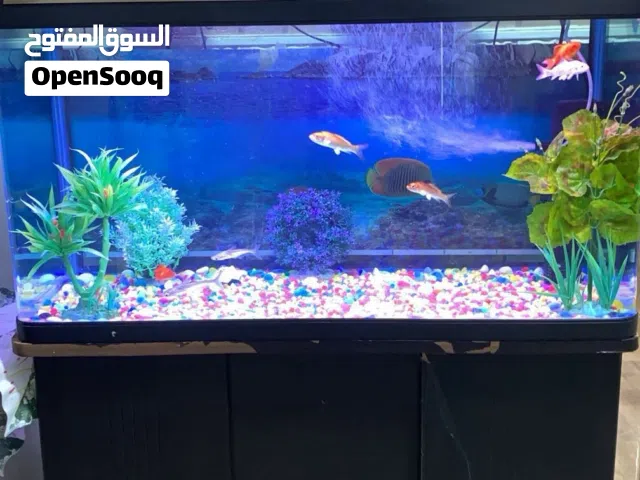 حوض اسماك للبيع