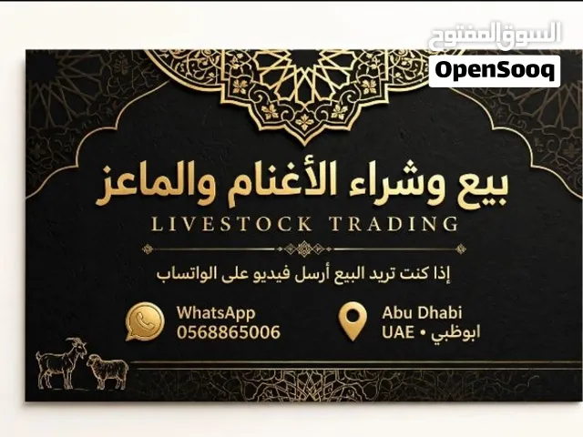 شراء وبيع الأغنام والماعز