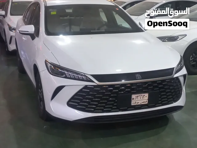 New BYD Other in Baghdad