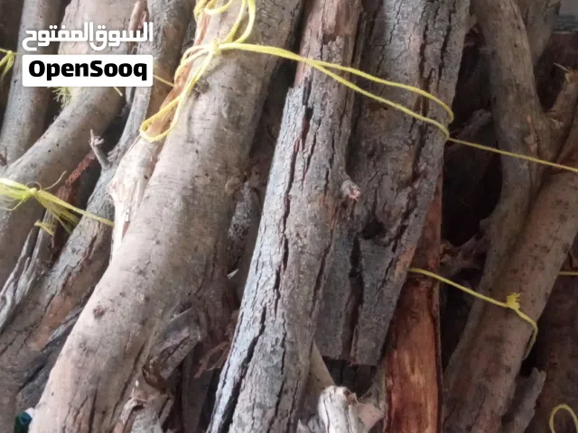 حطب سمر صلب