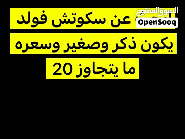 الي حاب يبيع يتواصل على هاذا رقم