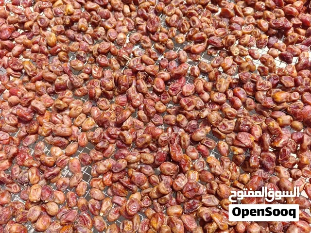 تمور خلاص و ونغال