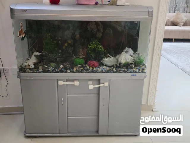 fish aquarium tank
