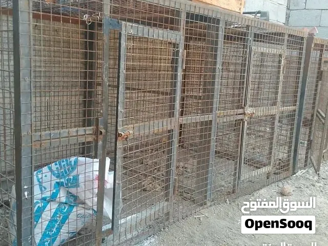 قفصين للبيع كل قفص خانتين   العرض مترين الارتفاع متر النزال متر