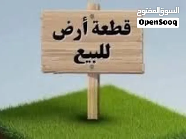 قطعتين ارض زراعي للبيع في التنومة / الحي الايطالي