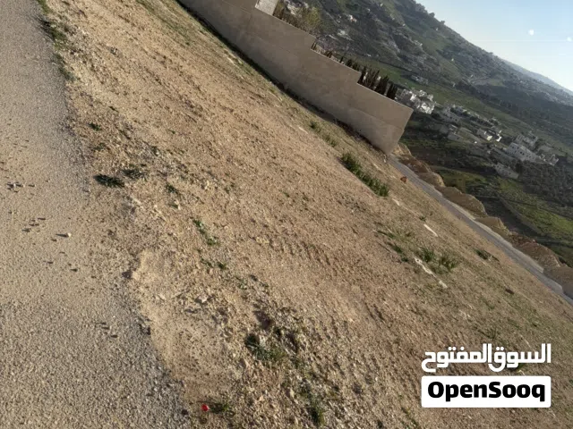 منطقة فلل ومطله جميع الخدمات موقع مميز في ام رمانه