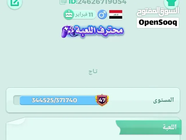بيع وحسابات لودو