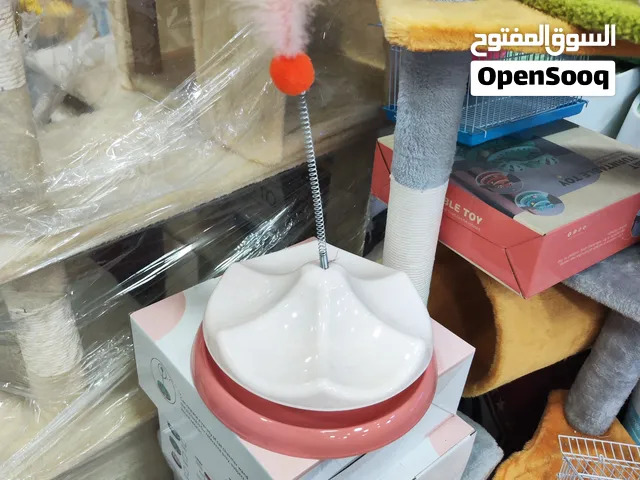لعبه قطط 2026 مميزه جدا واحدث الاصدارات على الاطلاق