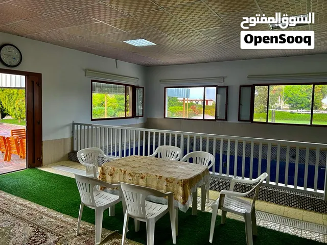 مزرعة الصباح بحلتها الجديدة